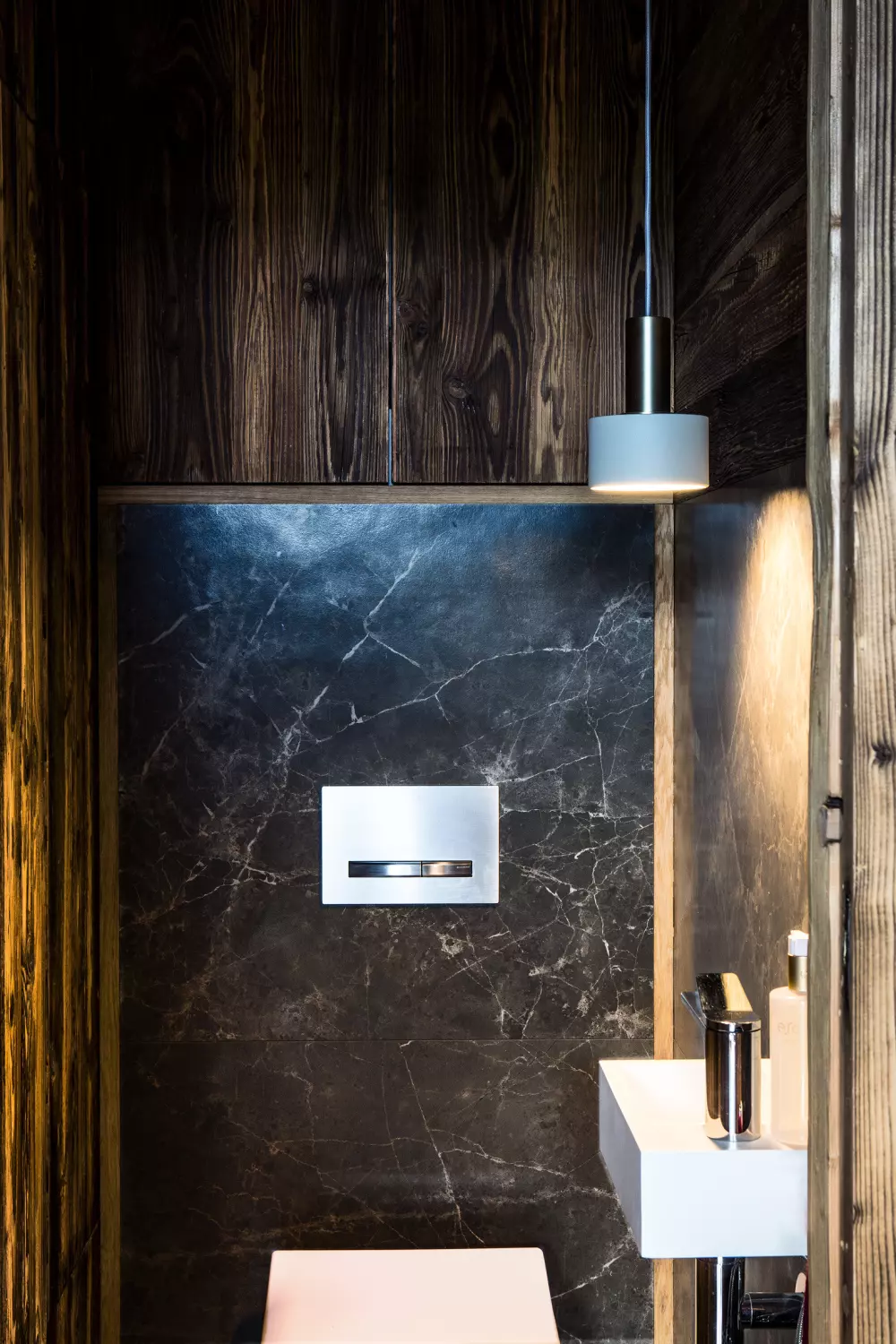 Chalets in Abondance