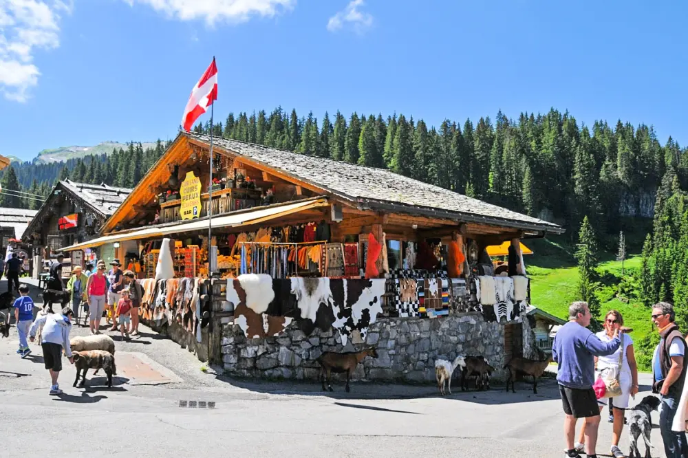 AlpChalets Portes du Soleil 5 Csillagok★★★★★