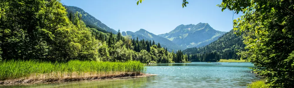 AlpResort Ports du Soleil 4 Sterne★★★★