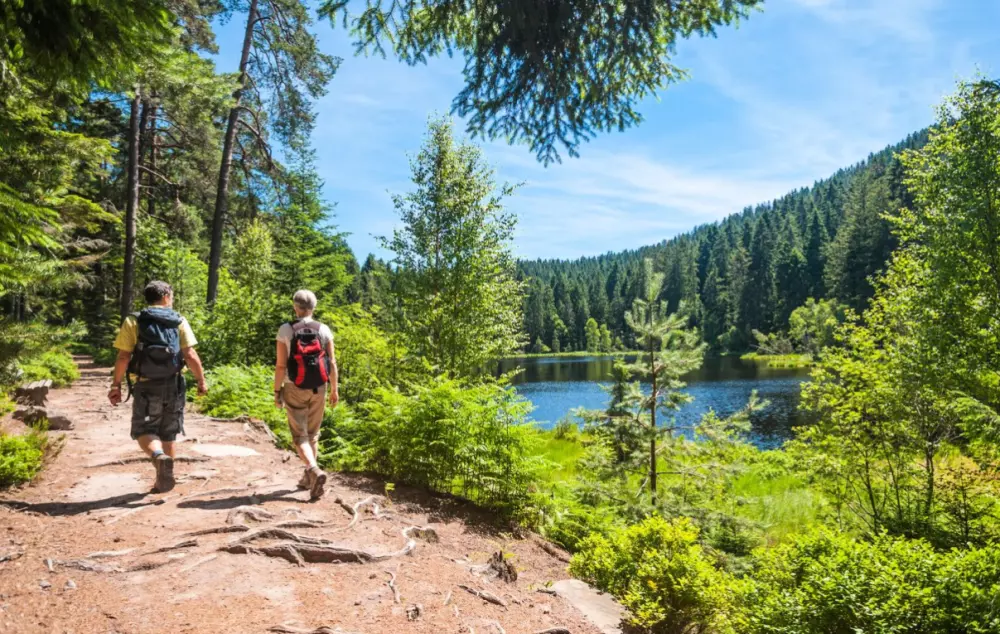 AlpResort Ports du Soleil 4 Sterne★★★★