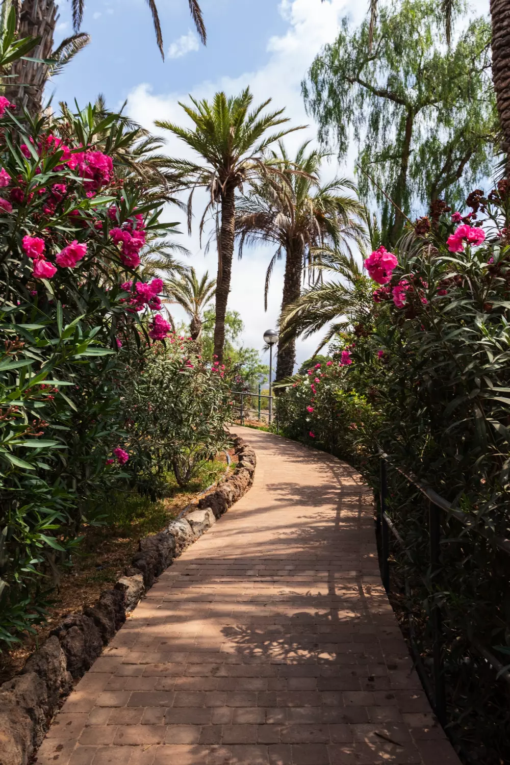 Residenz Pierre & Vacances Marazul del Sur