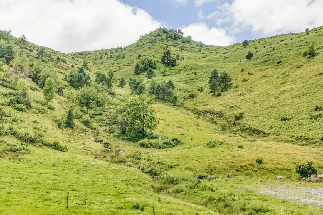 Chalets in Adervielle-Pouchergues