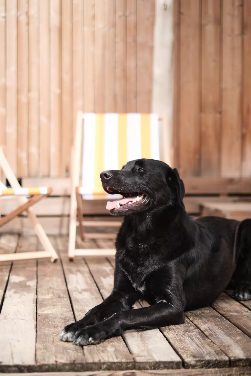 Camping Blendin Retreat Agde 5 Sterren★★★★★