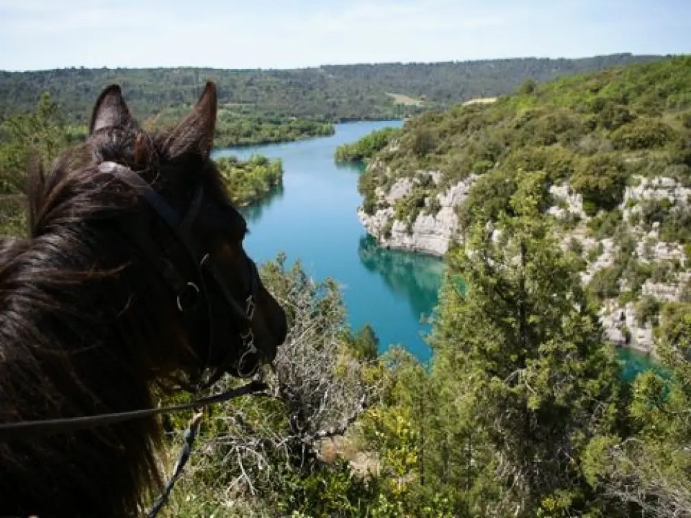 Camping Le Domaine De Chanteriene 3 Sterren★★★