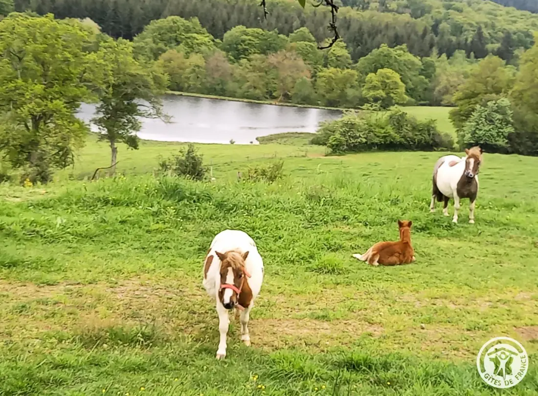 Gîte de France Duizend sterren 2 oren
