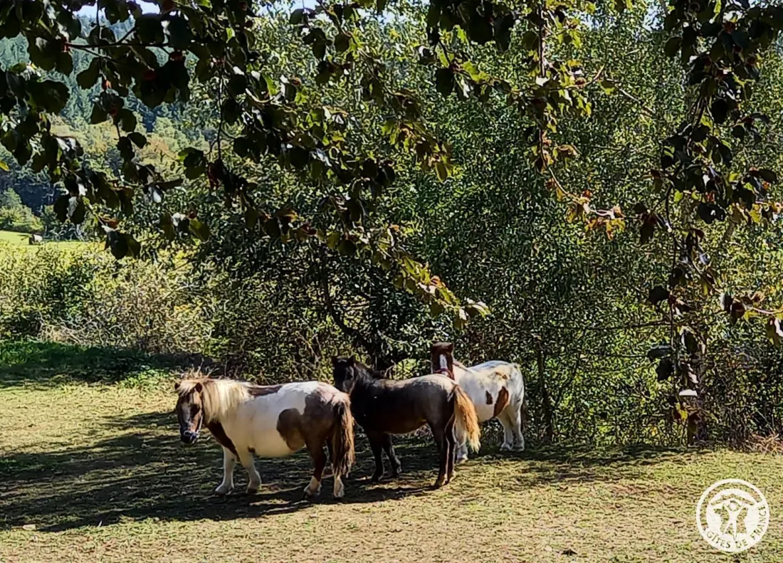 Gîte de France Duizend sterren 2 oren