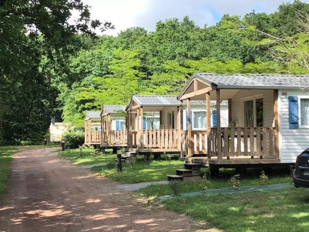 Camping La Forêt 3 Stjerner★★★