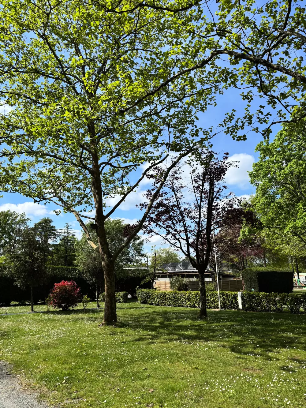 Camping La Forêt 3 Stjerner★★★