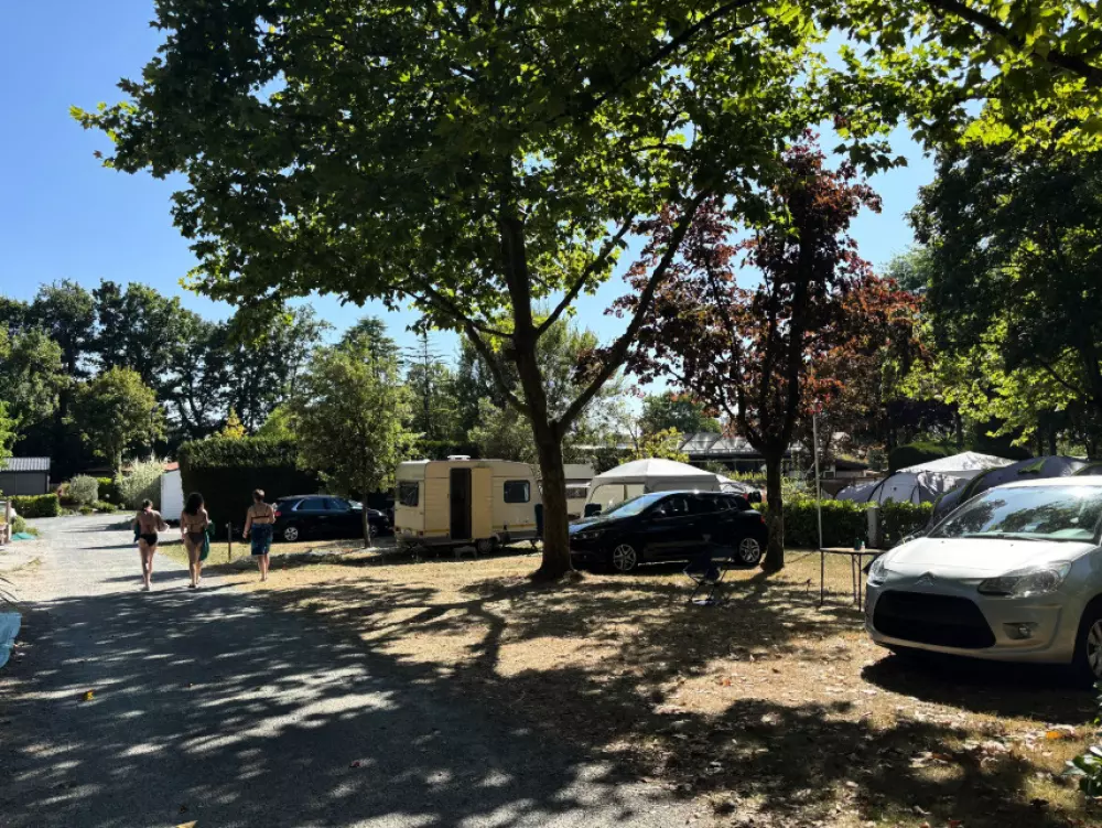 Camping La Forêt 3 Stjerner★★★