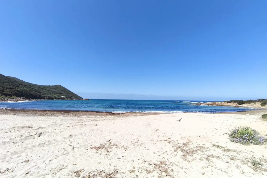 Zöld ház 2min De La Plage