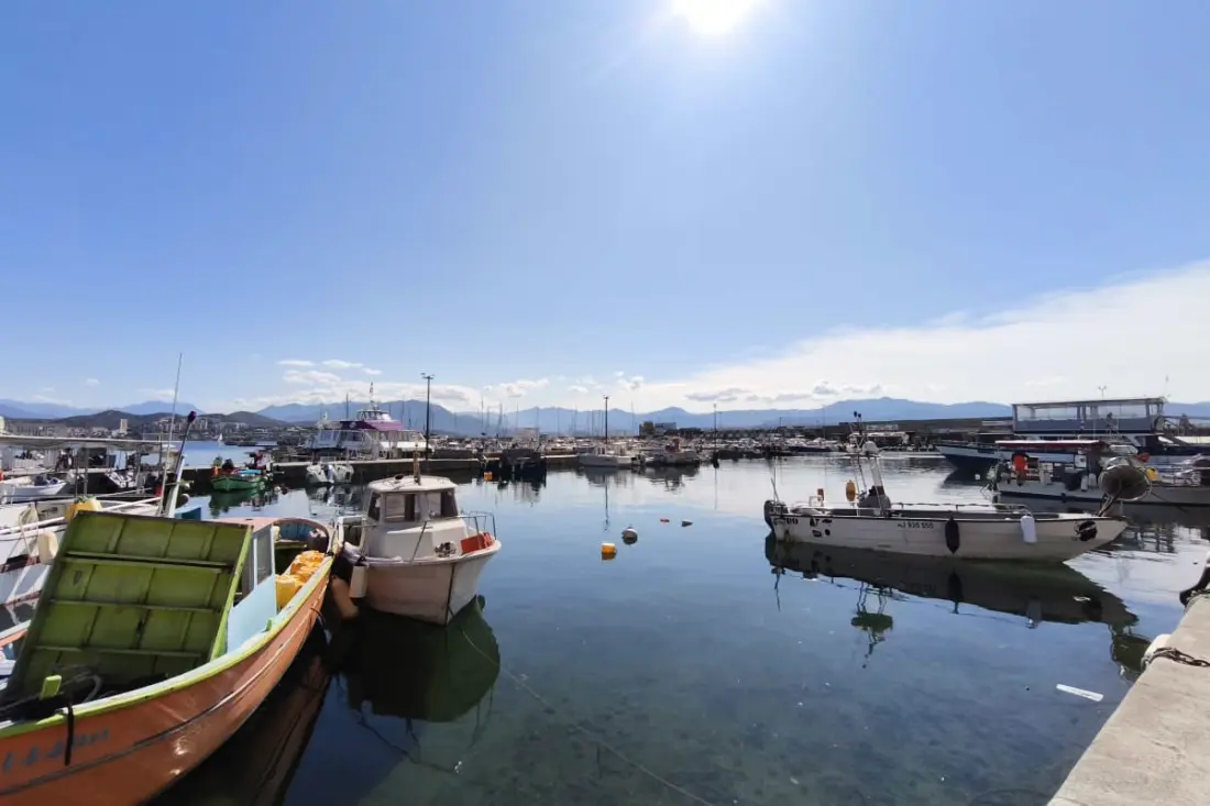 T2 Refait à Neuf Sur Le Port D'ajaccio