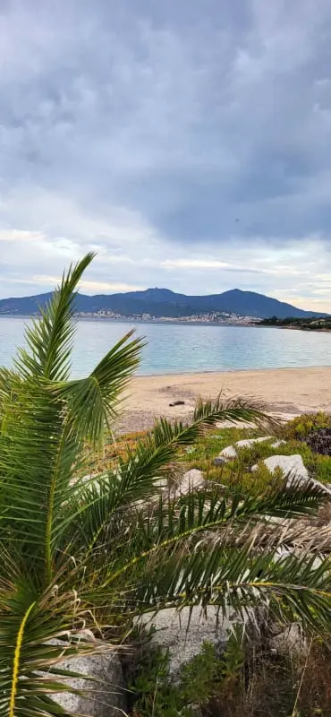 Bright Apartman Agosta, 100m De La Plage
