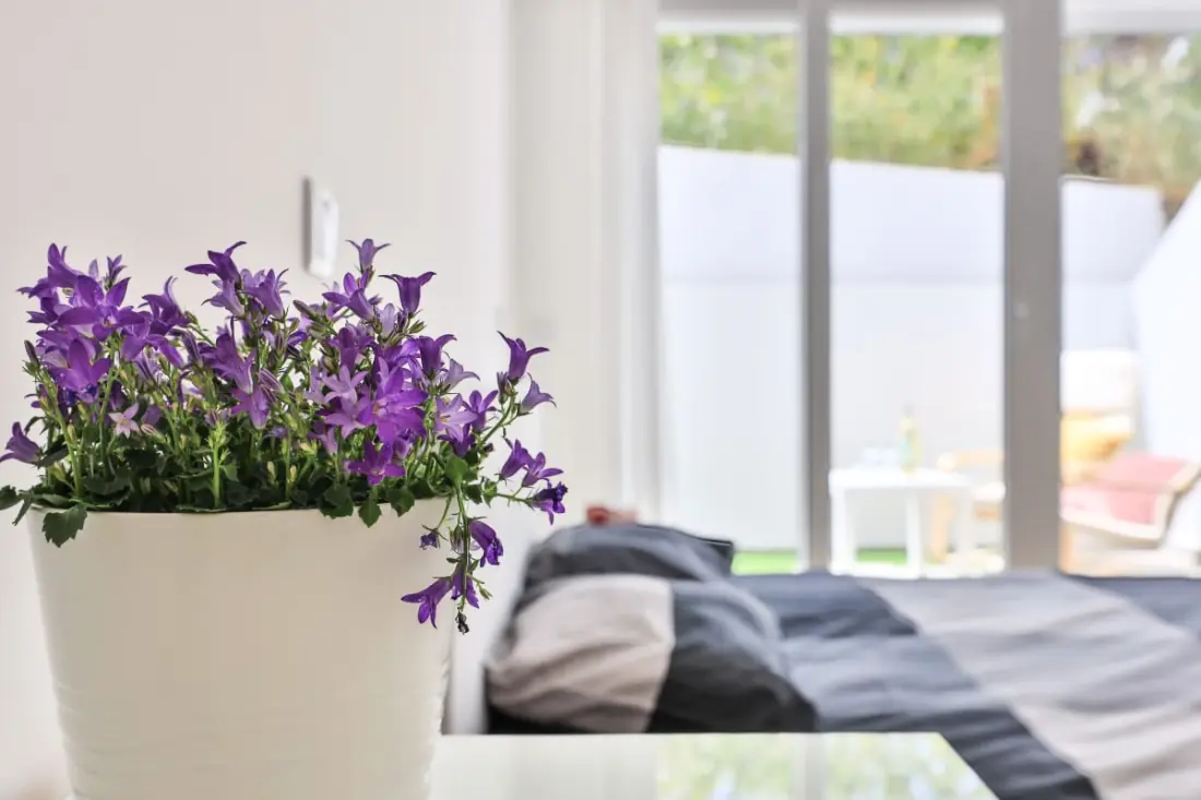Alfamar Inês Apartman