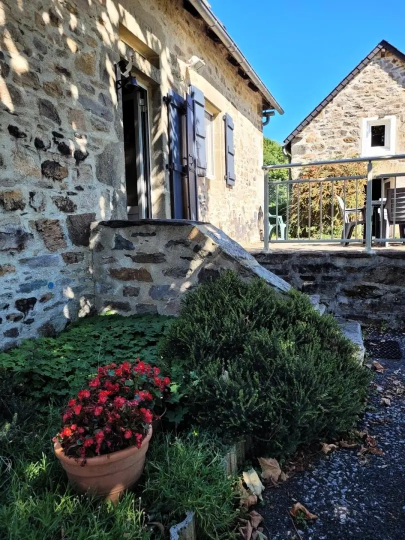 Gîte de France De puppy 3 oren