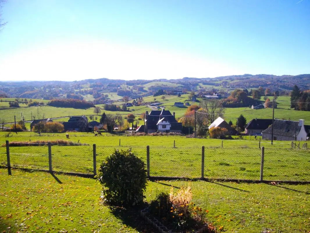 Gîte de France De puppy 3 oren