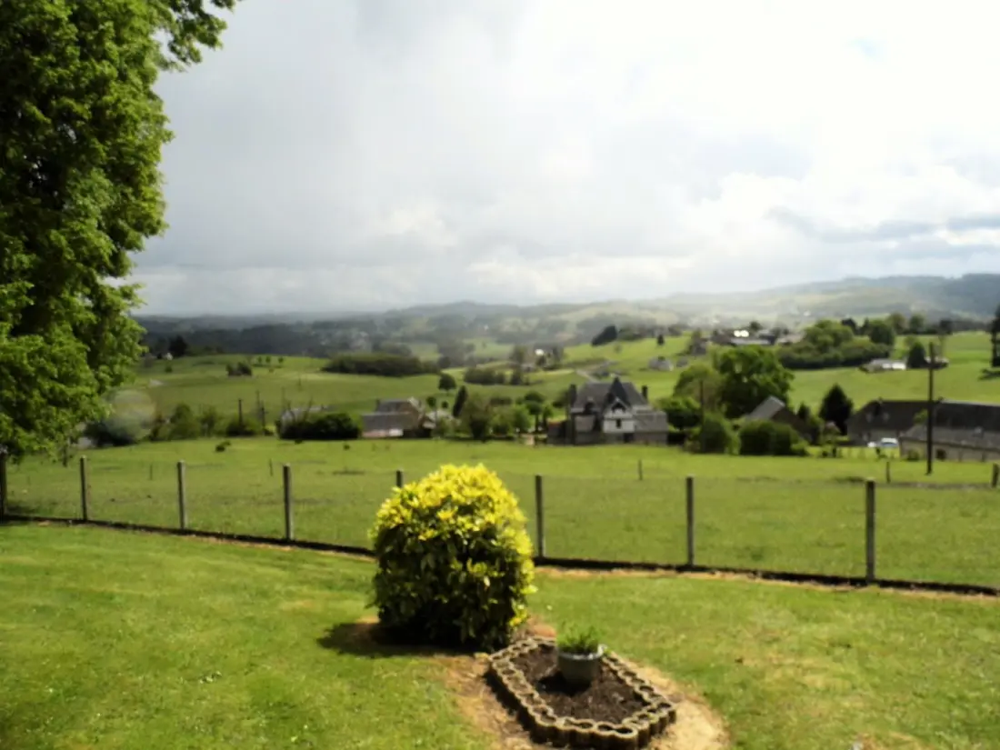 Gîte de France De puppy 3 oren