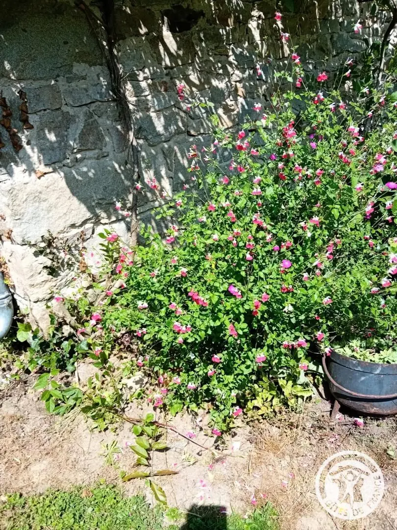 Gîte de France De hortensia's 3 oren