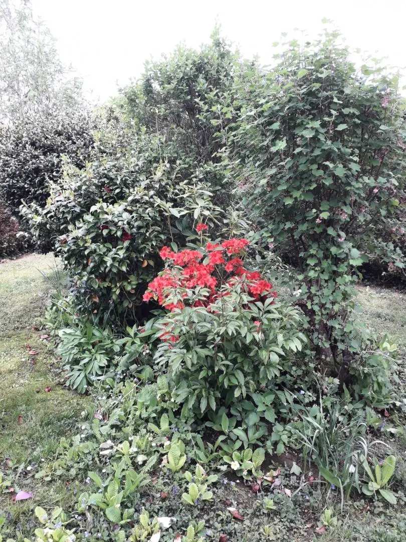 Gîte de France De hortensia's 3 oren