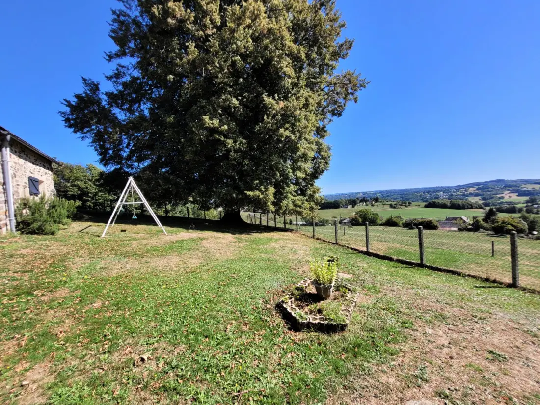 Gîte de France De puppy 3 oren