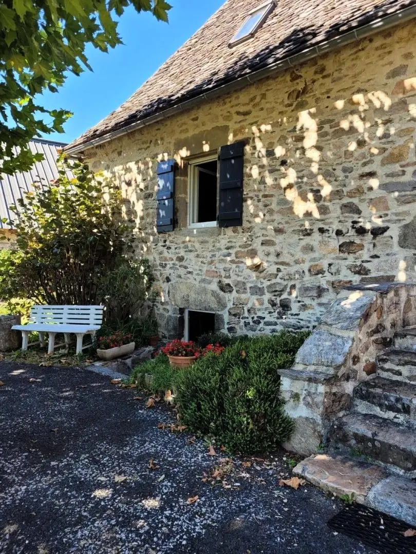 Gîte de France De puppy 3 oren