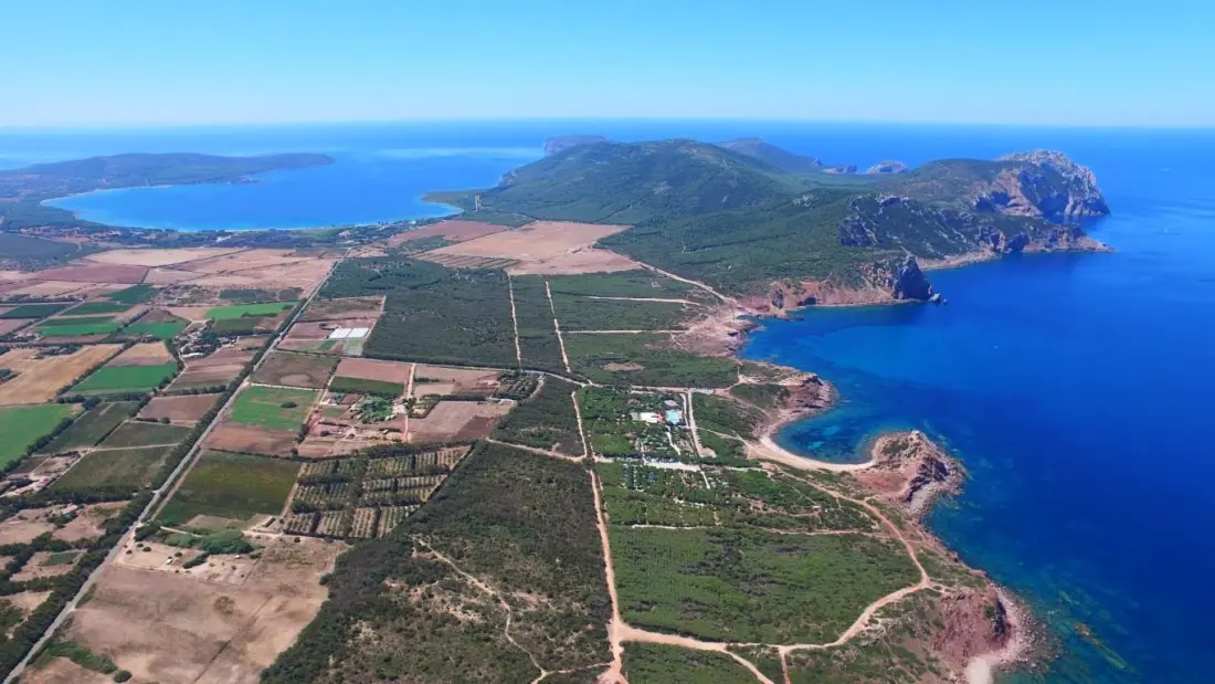 Camping Village Glamping Torre del Porticciolo4 Stelle★★★★
