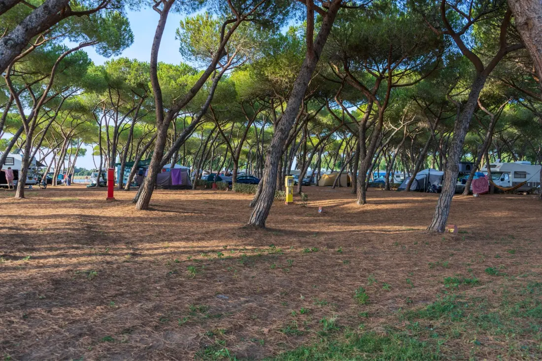 Camping Laguna Blu4 Sterren★★★★
