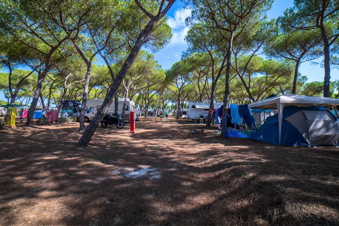 Camping Laguna Blu4 Sterren★★★★