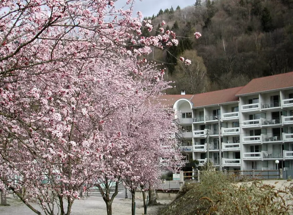 Residenza Les Silènes