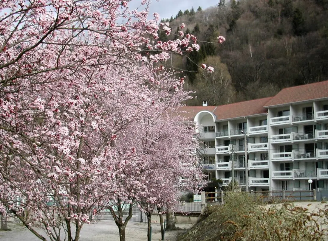 Rezydencja Les Silènes