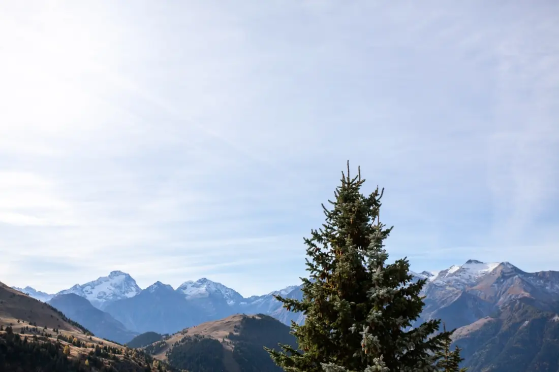 Rezydencja Les Horizons d'Huez - maeva Strona główna