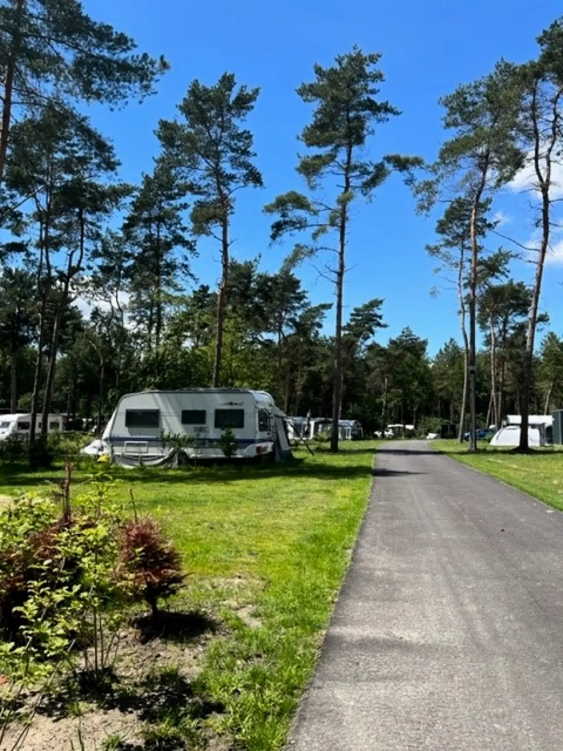 Camping 't Zand Alphen B.V.