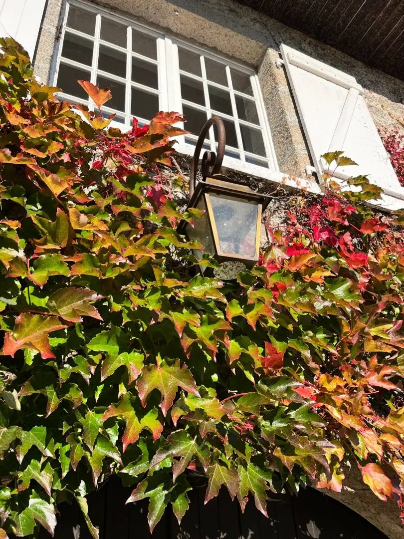 Gîte de France De schuren van de tais 4 oren