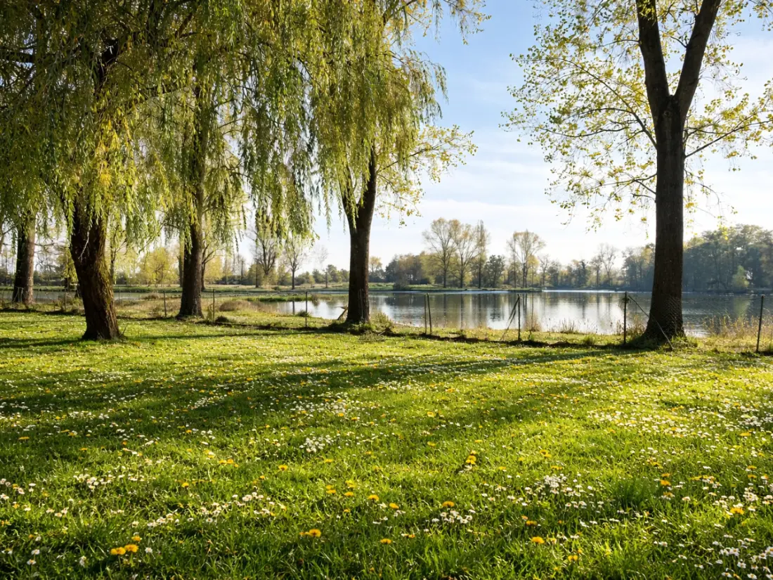 Campsite Oasis des Dombes 3 Csillagok★★★