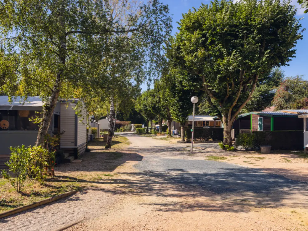 Camping Oasis des Dombes 3 étoiles★★★