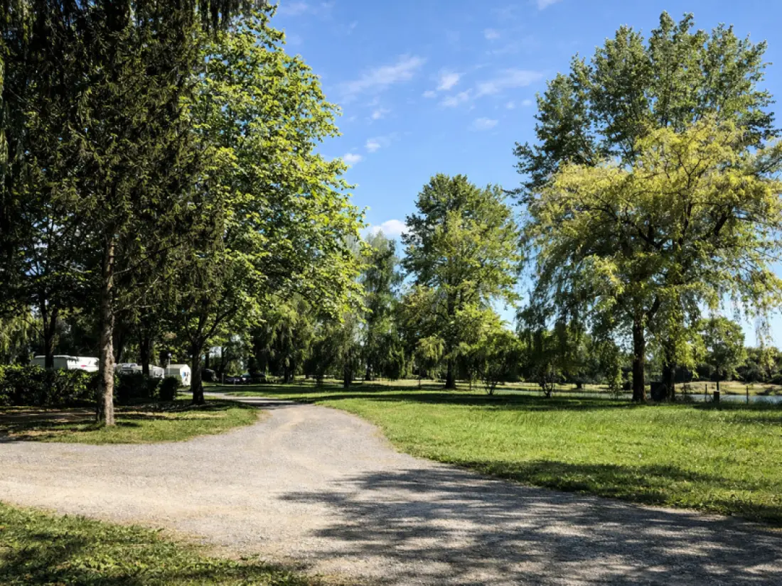 Camping Oasis des Dombes 3 Estrellas★★★