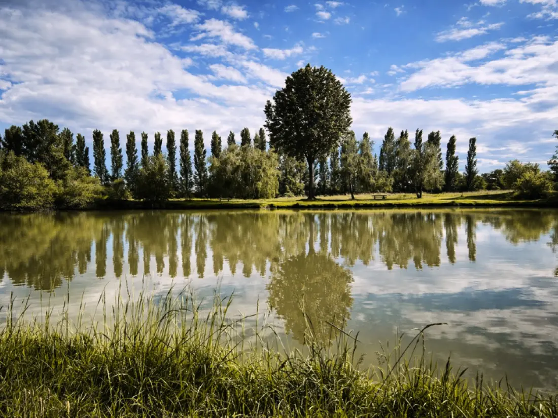 Camping Oasis des Dombes 3 Estrellas★★★