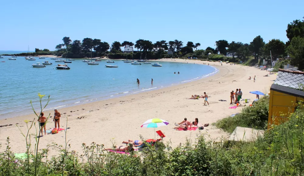 Camping del Litoral 3 Estrellas★★★