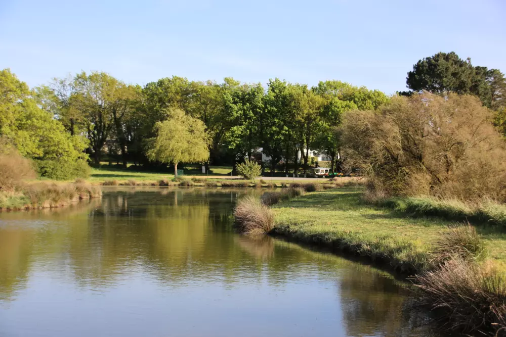 Kemping Paradis d'Arvor 3 Gwiazdy★★★