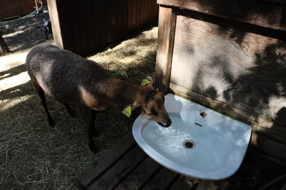 Camping Paradis Domaine de Gaujac4 Sterne★★★★