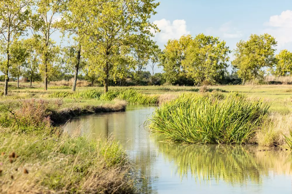 Camping maeva Club L'Atlantique 4 Sterren★★★★