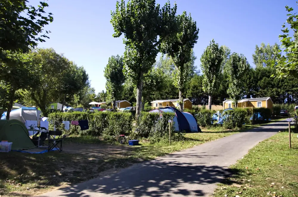 Camping Bela Basque 4 étoiles★★★★