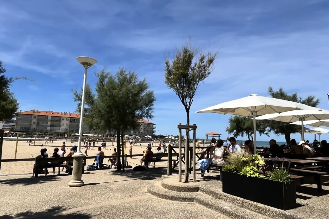 Luminous Studio for Terrace 200 M De La Plage