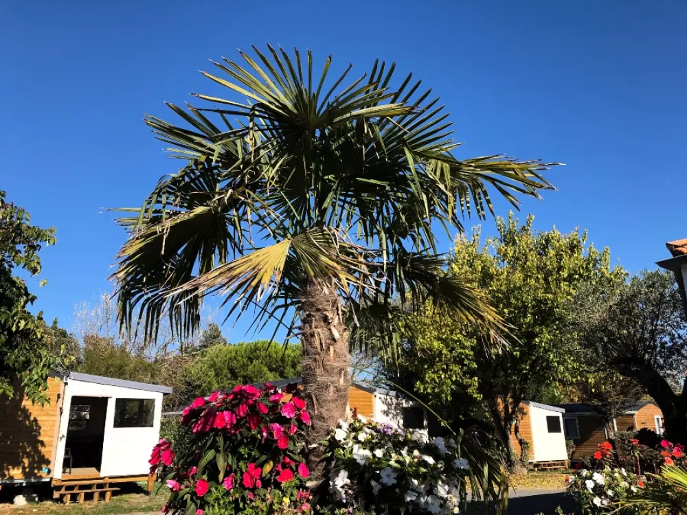 Camping à la Corniche3 Sterne★★★