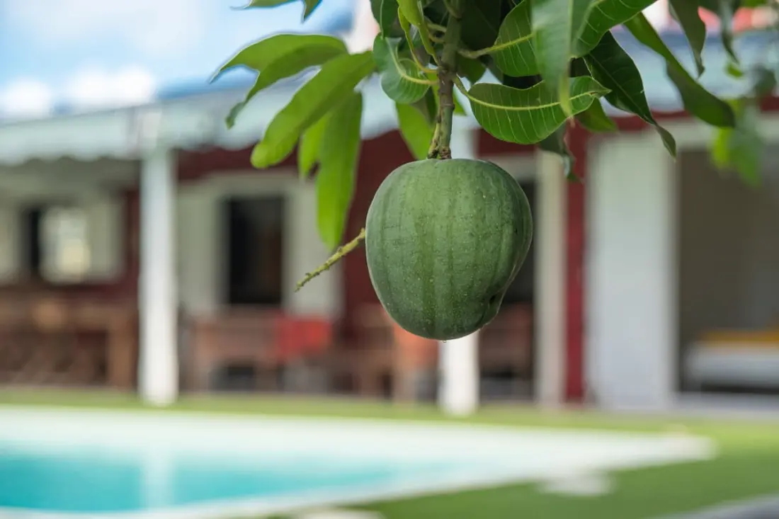 Villa Hibiscus