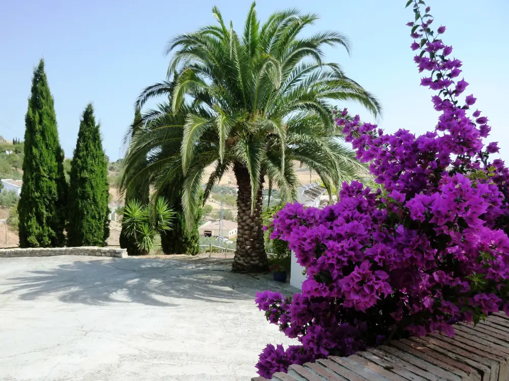 Vakantiehuis Antequera 2