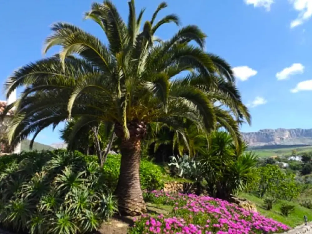 Vakantiehuis Antequera 2