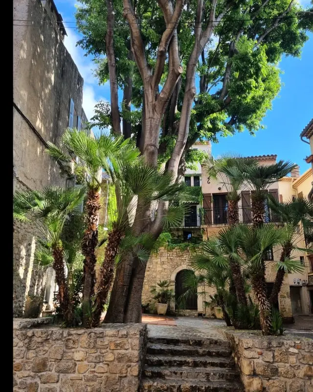06an - Mooi appartement Au Coeur Du Vieil Antibes