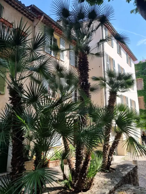 06an - Mooi appartement Au Coeur Du Vieil Antibes