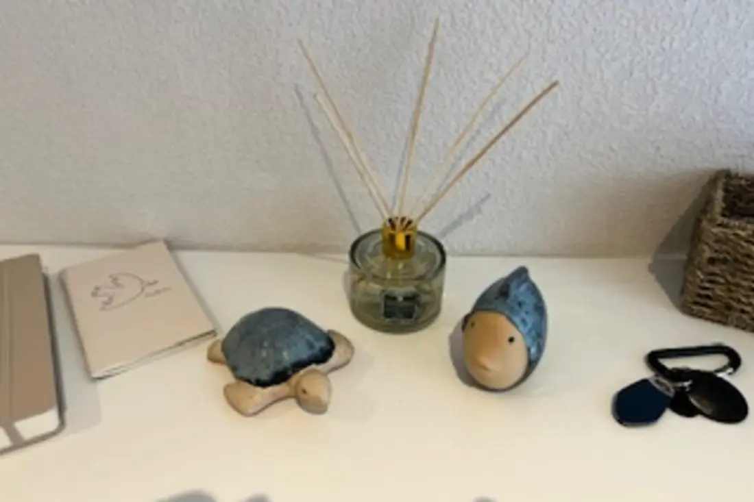 Charmant appartement met 2 balkons