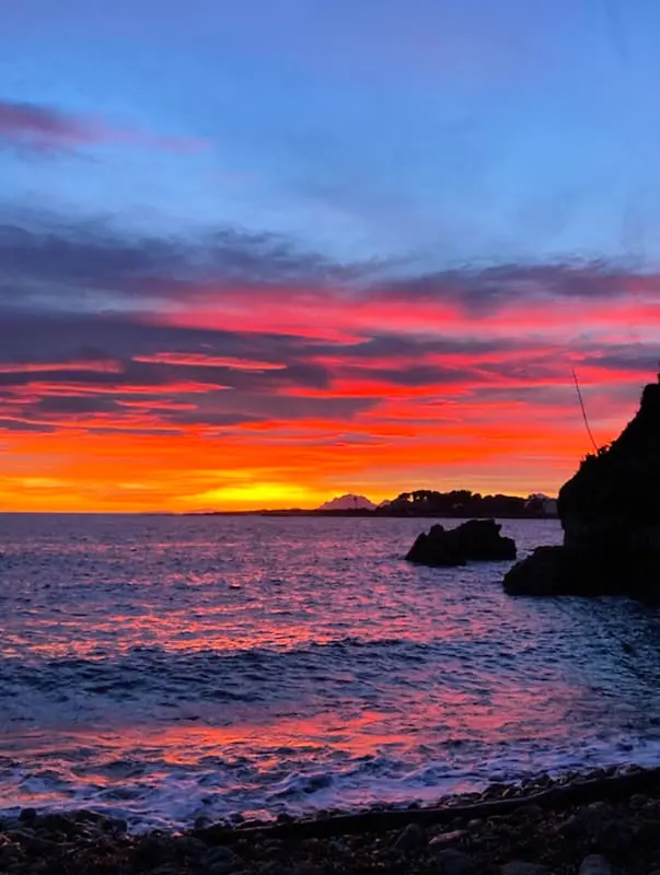 T2 De oranje boom van de Antibes Cap
